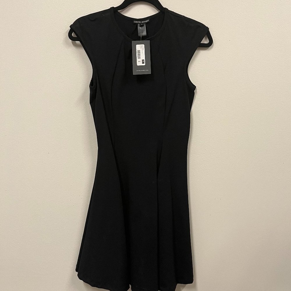 David Lerner Dress